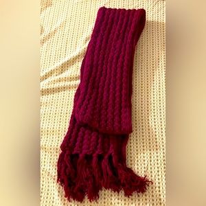 Gap Winter Fringed Chunky Knit Scarf